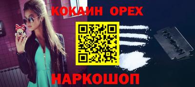 амф Кандалакша