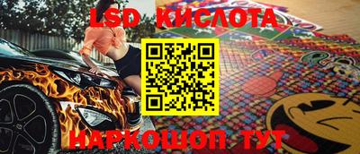 a pvp Камышлов