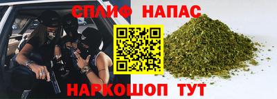 a pvp Камышлов