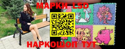 a pvp Камышлов