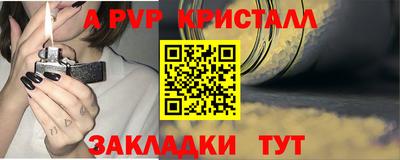 a pvp Камышлов