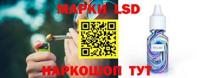 a pvp Камышлов