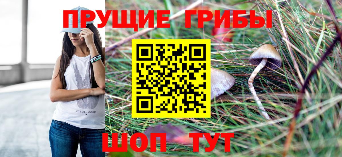 Псилоцибиновые грибы Cubensis Кыштым