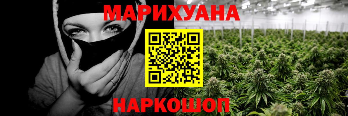 Каннабис OG Kush Кыштым